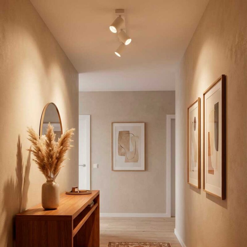 Foco sobrepuesto cielo LARA